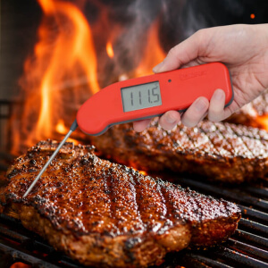 BBQ Thermometers NZ